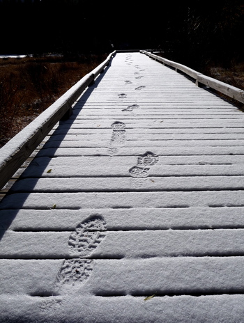 First Snow, First Footprints