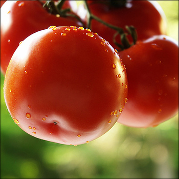 Red Tomato
