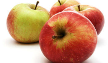 cropped-seven-foods-lose-weight