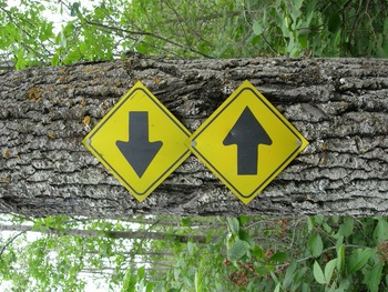 Slightly confusing signs