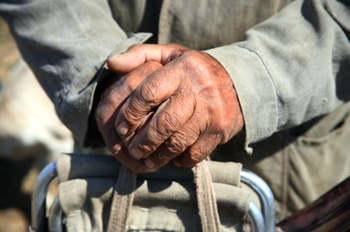 old_man_hands