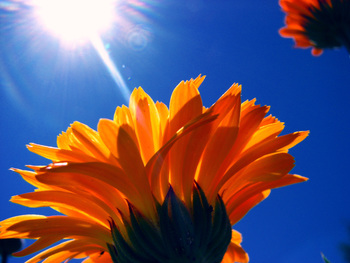 Touching the Sun