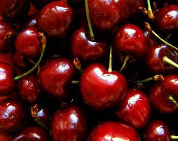 Dark red cherries