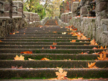 steps