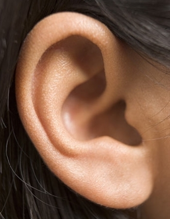 ear