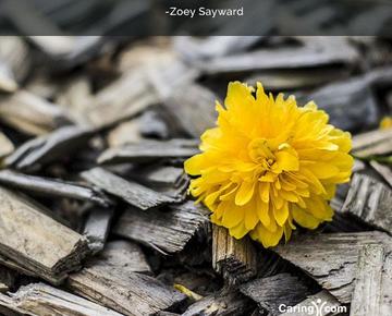 Zoey sayward caregiving quote