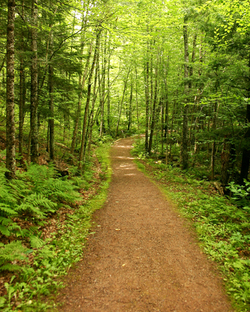 Green Path