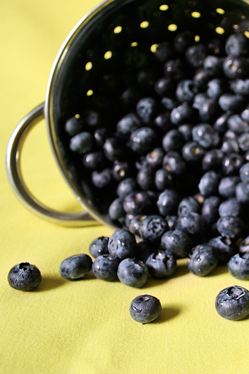 Blueberries on yellow #3