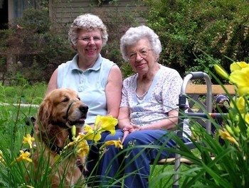 Jamie as therapy dog