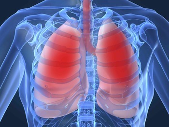 lowres lungs