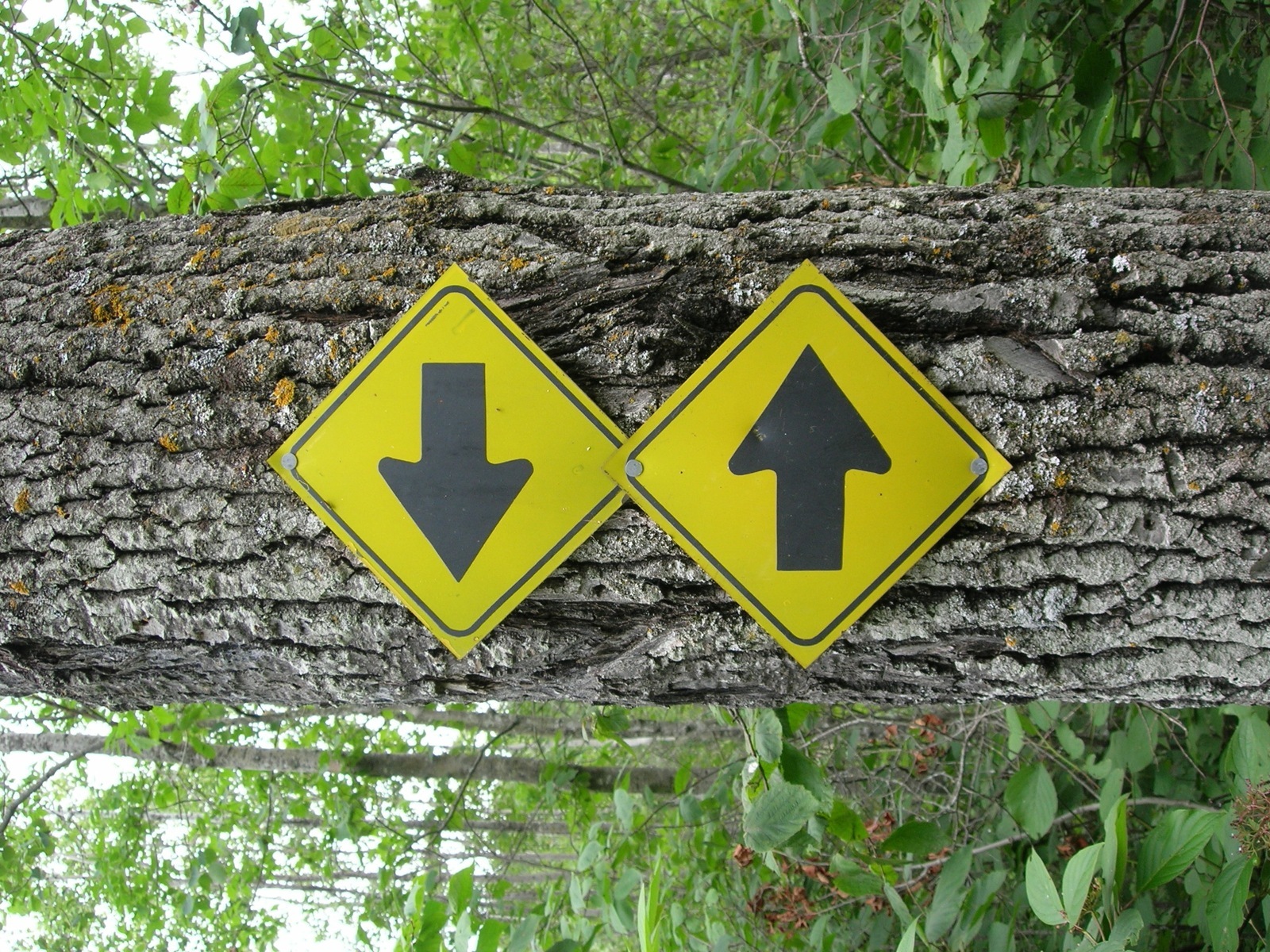 Slightly confusing signs