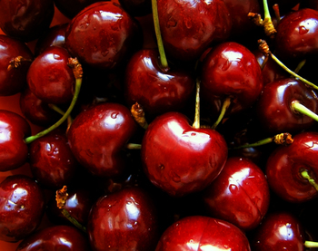 Dark red cherries