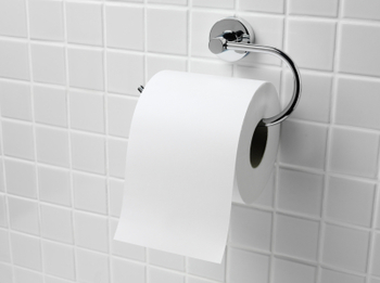 toilet paper roll