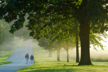 Walking on a foggy morning at sunrise