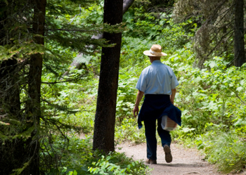 Man out for a walk in the woods