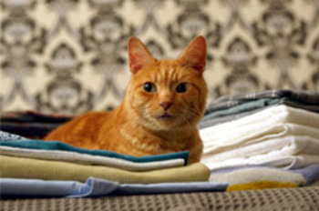 Helping_with_laundry