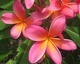 Caring.com User - deel
