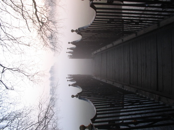 Into the fog