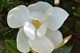 Caring.com User - marianna