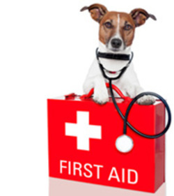 emergency preparedness