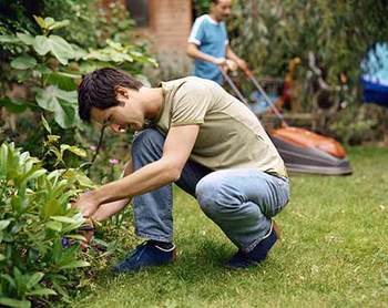 mowing-lawn