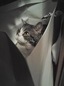 20120925 234825.jpg