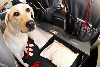 travelling-with-dvt