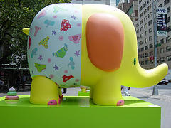 Mamaelephant33095733 34ac91f984 m 1 .jpg
